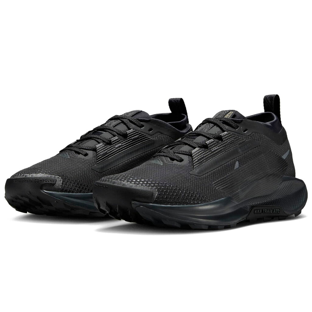 ナイキ ペガサス トレイル 5 GORE-TEX 