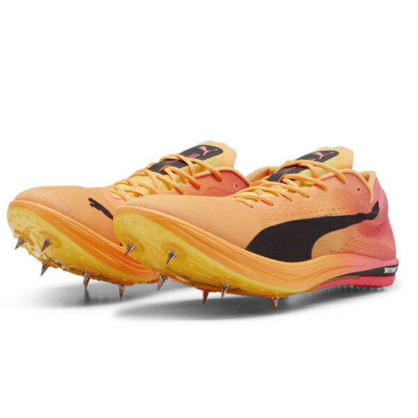 ロングディスタンス ニトロ エリート 3